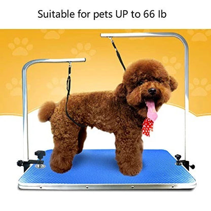 CLCK 4 Pack Pet Dog Grooming Loops - Nylon 22 inches, orange, blue, pink