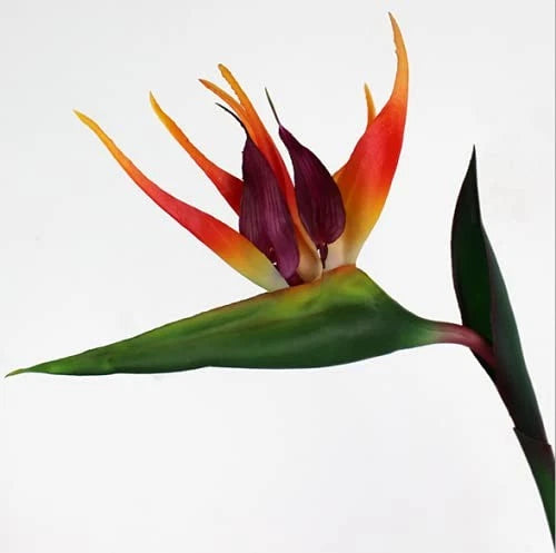 3 Pcs Large Bird of Paradise 32 Inch Permanent Flower,UV 32in, Orange and Red